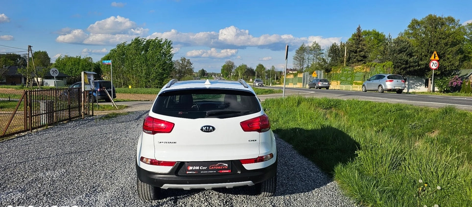 Kia Sportage cena 59900 przebieg: 157000, rok produkcji 2015 z Dębica małe 742